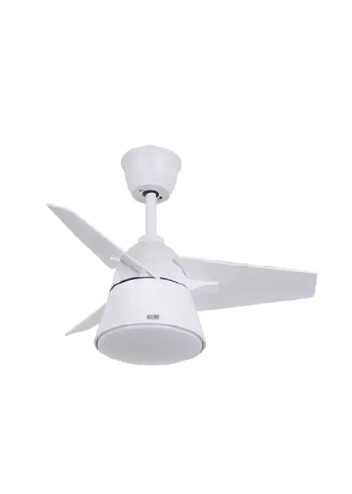 AC Ceiling Fan